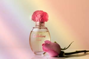 Parfum pour chien