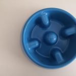 Une gamelle anti-glouton classique