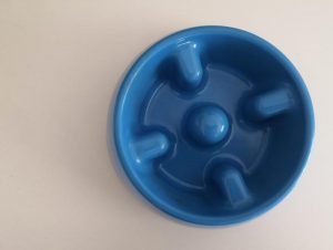 Une gamelle anti-glouton classique