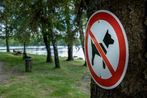 Lieux inbterdits aux chiens