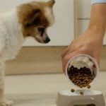 Croquettes Veterinary HPM Virbac