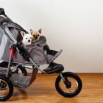 Les poussettes pour chien