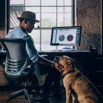 Emmener son chien au travail