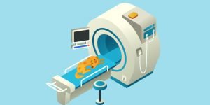 Le scanner vétérinaire pour chien