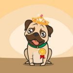 Le plus beau chien du monde