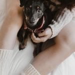 Chien détecteur de paludisme