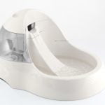 Fontaine à eau pour chien