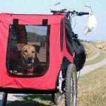 Remorque à velo pour chien