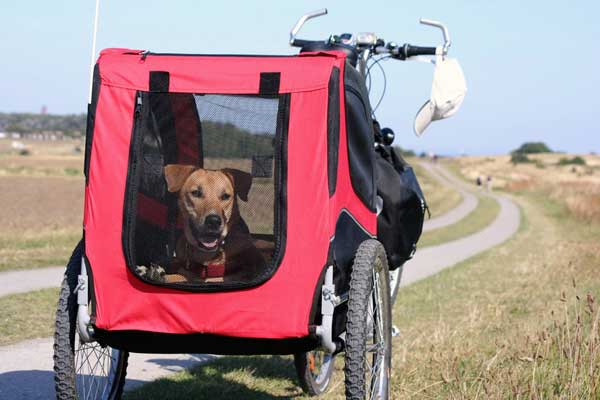 Doggyhut ® XXL Remorque pour chien avec Jogger Remorque à vélo Remorque à vélo pour chien 