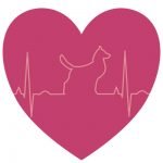 Le rhytme cardique du chien