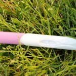 Test de grossesse pour chien