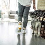 Mon chien me suit partout