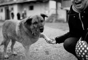 Le renforcement positif