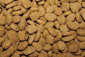 Croquettes pour chien stérilisé