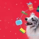 Une maison propre avec un chien