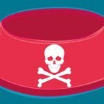 7 aliments interdits aux chiens