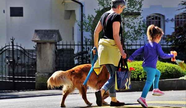 La ville la plus dog friendly en 2019