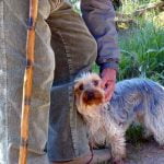 Un sénior avec un chien