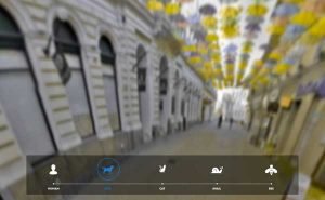 Simulateur de vision du chien