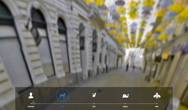 Simulateur de vision du chien