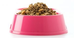 Calculateur RPC croquettes