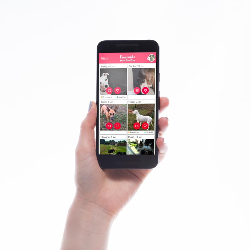 amour parc rencontres App