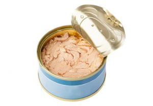 Thon en boite pour chien