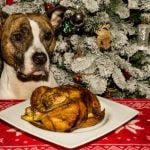 chien et repas de fête