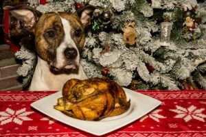 chien et repas de fête