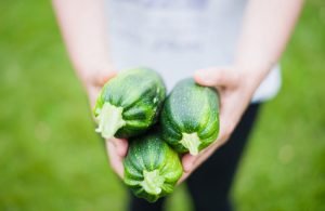 des courgettes pour chien