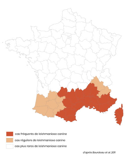 Carte de répartition des cas de leishmaniose en France