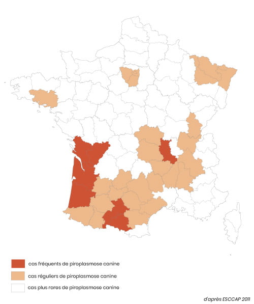 répartition des cas de piroplasmose en France