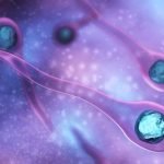 le tétanos du chien