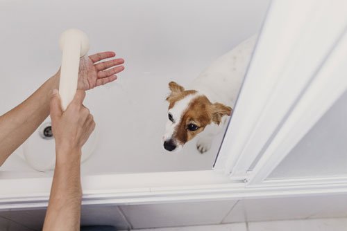 vérifiez la température de l'eau