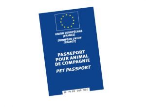 passeport pour chien