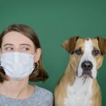 Coronavirus et chien