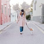 Précautions pour sortir le chien