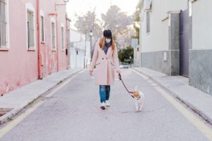 Précautions pour sortir le chien