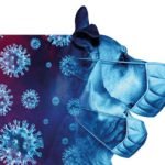 animal de compagnie et covid-19