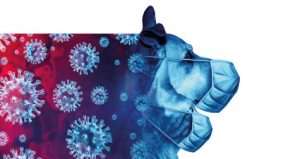 animal de compagnie et covid-19