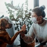 chien et déconfinement