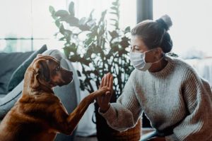 chien et déconfinement