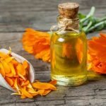 calendula pour chien