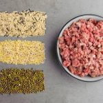 Glucides pour le chien