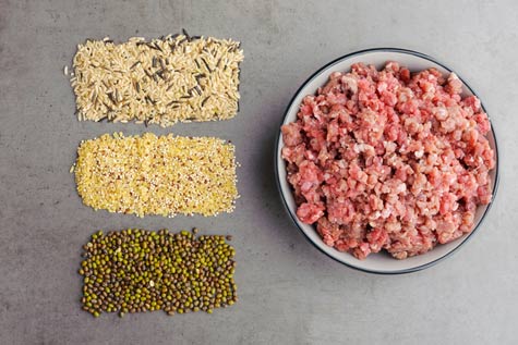 Glucides pour le chien