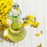 huile de colza pour chien