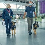 chien formé à détecter la covid