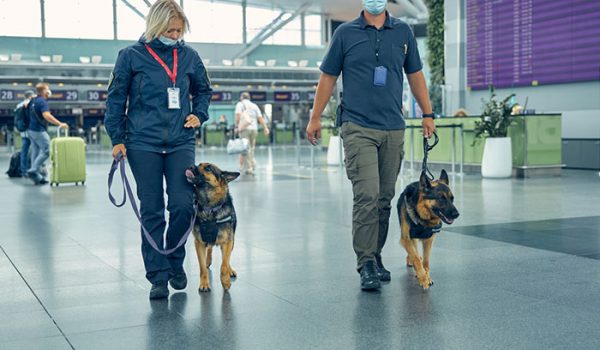 chien formé à détecter la covid
