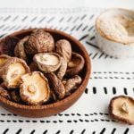 La mycothérapie pour chien