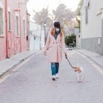 réglementation promenade chien reconfinement covid19